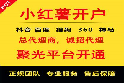 SEM代理助力品牌：案例解析，优化策略全揭秘